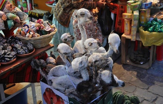 PIATA DE PRODUSE VOODOO11