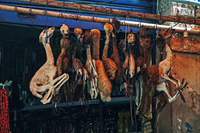 PIATA DE PRODUSE VOODOO4