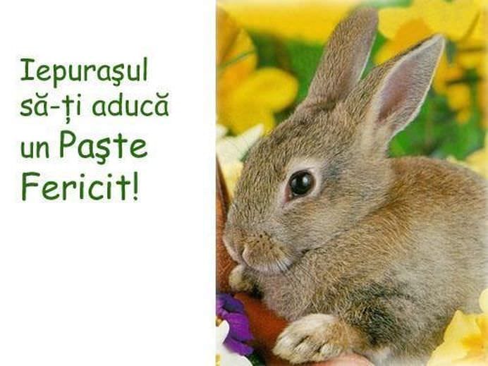 Vrei sa-i impresionezi pe cei dragi Uite cele mai inspirate FELICITARI SI MESAJE DE PASTE! FOTO4
