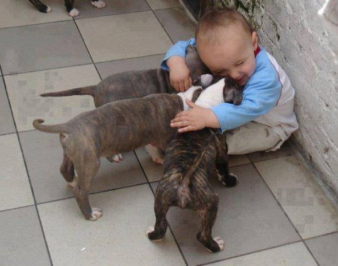 IMAGINI EMOTIONANTE care demonstreaza cat de mult au nevoie copii de ANIMALE DE COMPANIE!10