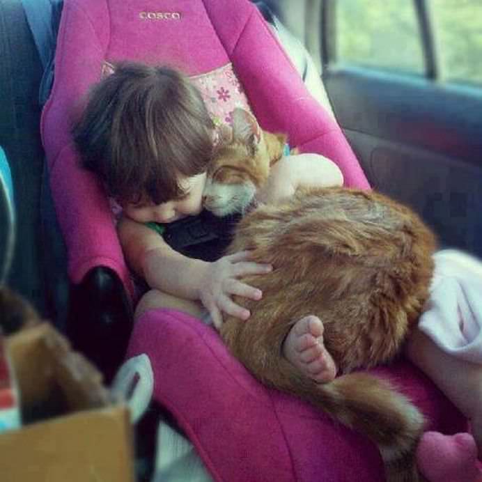 IMAGINI EMOTIONANTE care demonstreaza cat de mult au nevoie copii de ANIMALE DE COMPANIE!8