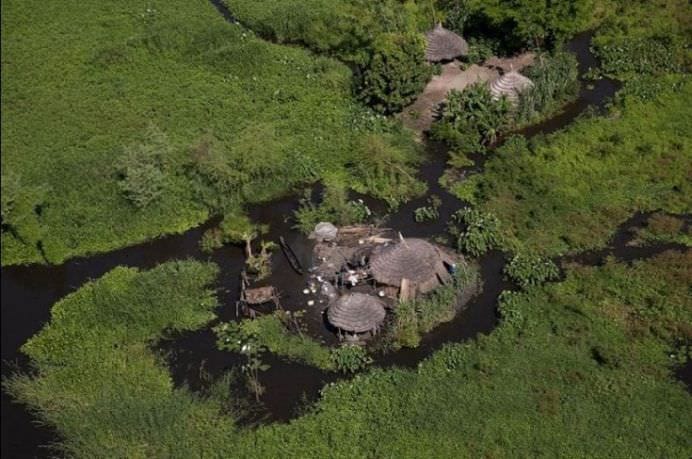 IMAGINI INCREDIBILE cu SATELE PLUTITOARE din MLASTINILE AMAZONULUI!5
