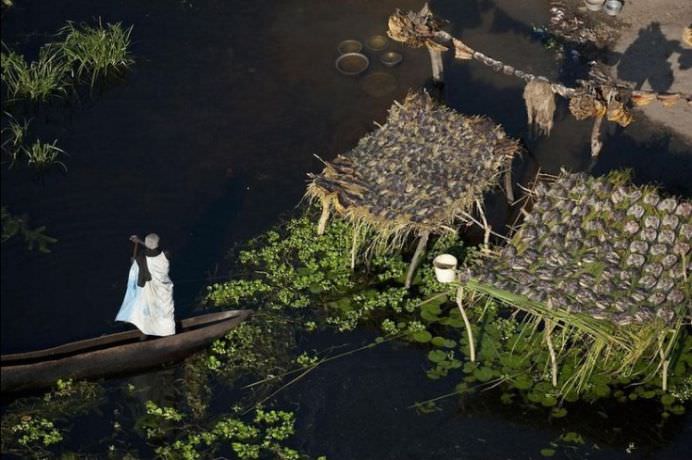 IMAGINI INCREDIBILE cu SATELE PLUTITOARE din MLASTINILE AMAZONULUI!6