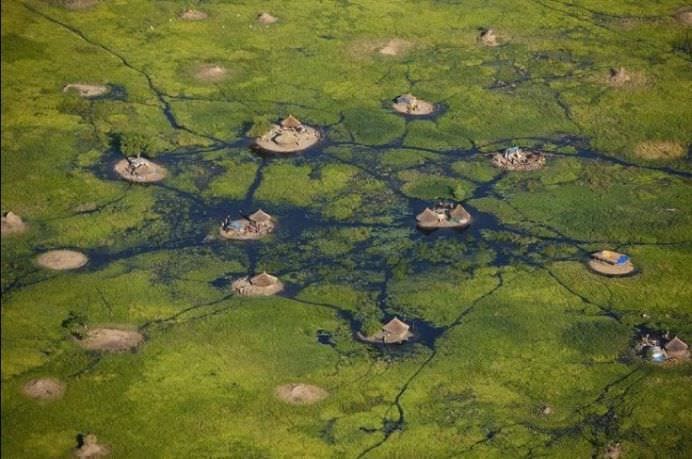 IMAGINI INCREDIBILE cu SATELE PLUTITOARE din MLASTINILE AMAZONULUI!8