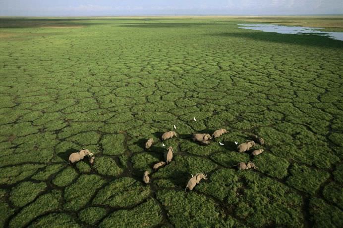 Africa Aerial Survey