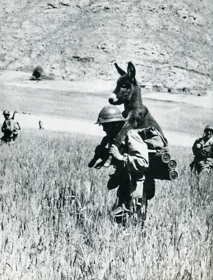 IMAGINI din SECOLUL TRECUT care iti vor face ZIUA MAI FRUMOASA!10