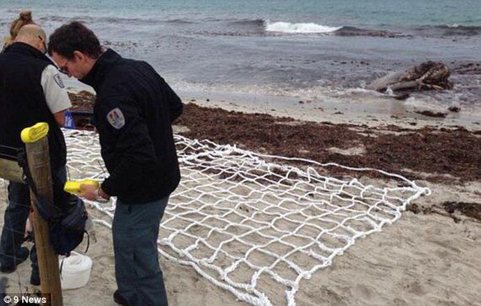 Un SCHELET URIAS a fost descoperit pe o plaja din Australia! FOTO + VIDEO4
