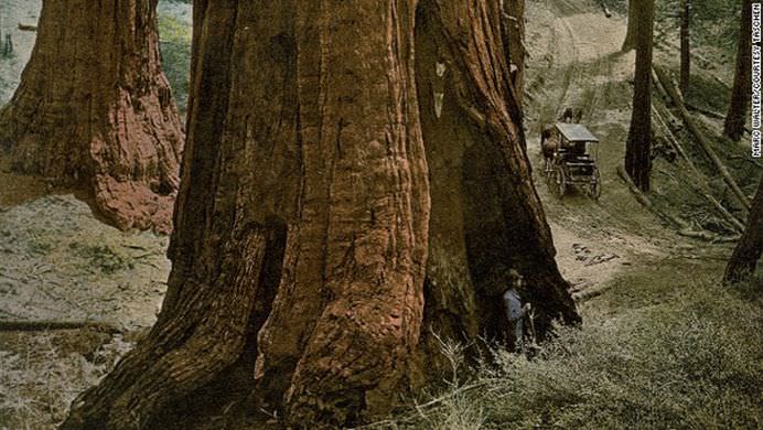 FOTOGRAFII INCREDIBILE din secolul al XIX-lea care arata cum se photoshopau imaginile pe vremea aceea! 8