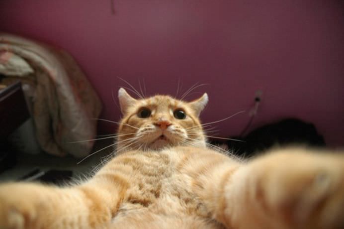 IMAGINI DE COLECTIE Cele mai tari SELFIE-uri cu ANIMALE care iti vor insenina ZIUA!14