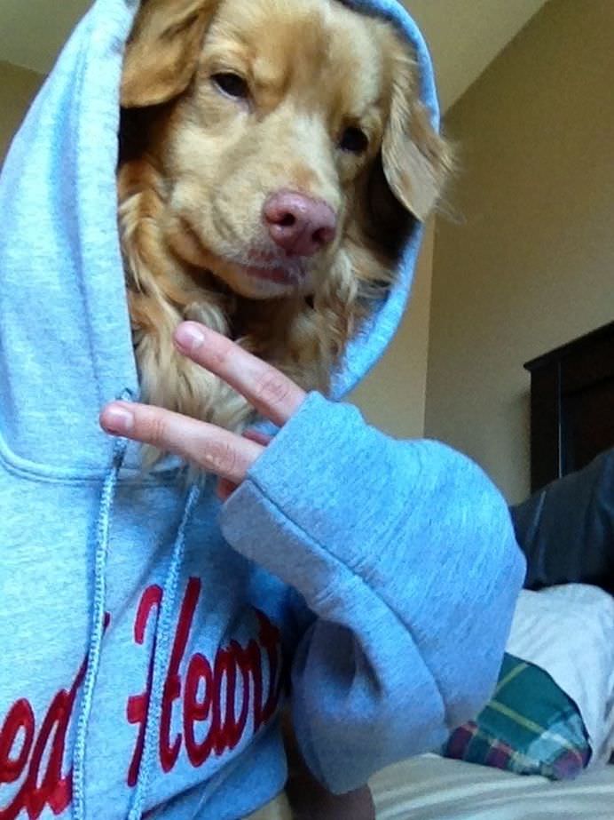 IMAGINI DE COLECTIE Cele mai tari SELFIE-uri cu ANIMALE care iti vor insenina ZIUA!22