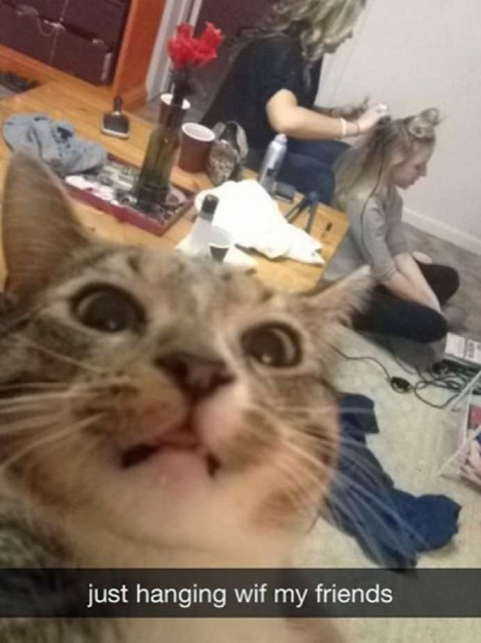 IMAGINI DE COLECTIE Cele mai tari SELFIE-uri cu ANIMALE care iti vor insenina ZIUA!4