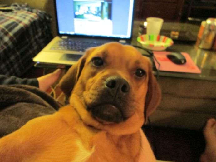 IMAGINI DE COLECTIE Cele mai tari SELFIE-uri cu ANIMALE care iti vor insenina ZIUA!5