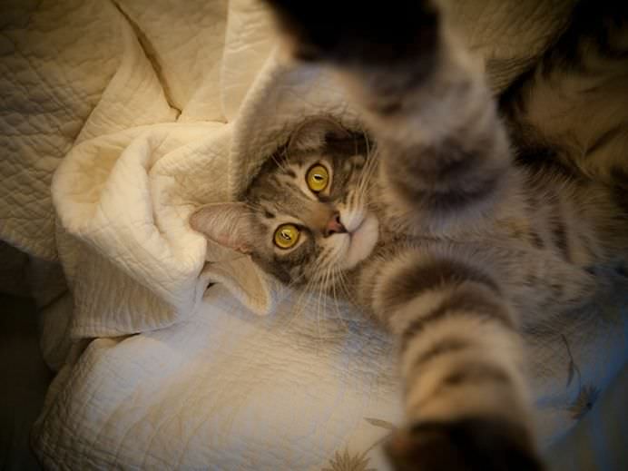 IMAGINI DE COLECTIE Cele mai tari SELFIE-uri cu ANIMALE care iti vor insenina ZIUA!9