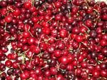TOP 10 Beneficii ale fructelor-vedeta CIRESELE!5
