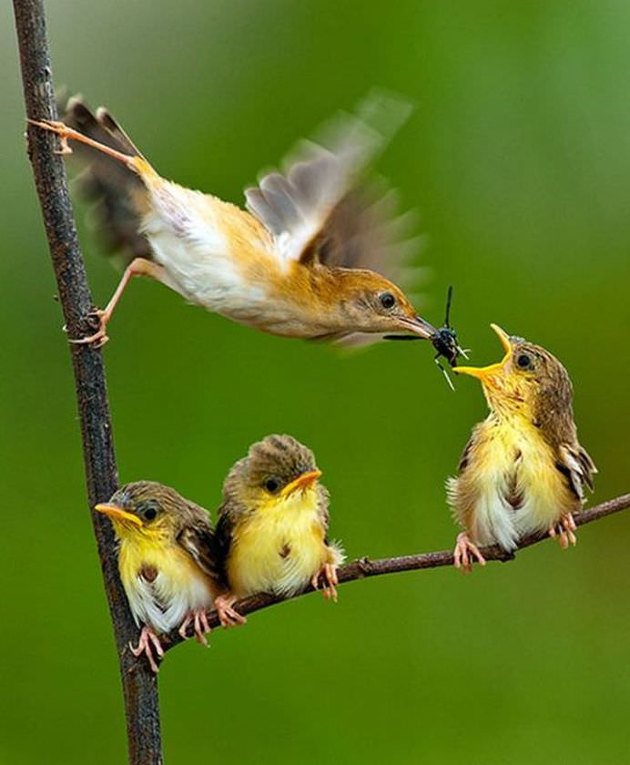 Terapie prin imagini Fotografii perfecte care iti vor SCHIMBA ZIUA!2