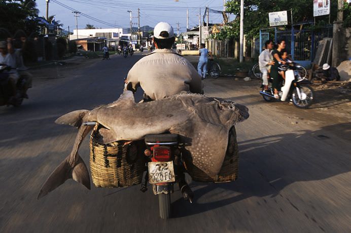 Cate lucruri crezi ca incap pe un scuter IMAGINI INEDITE care ilustreaza cate obiecte pot cara motociclistii din Vietnam! 3