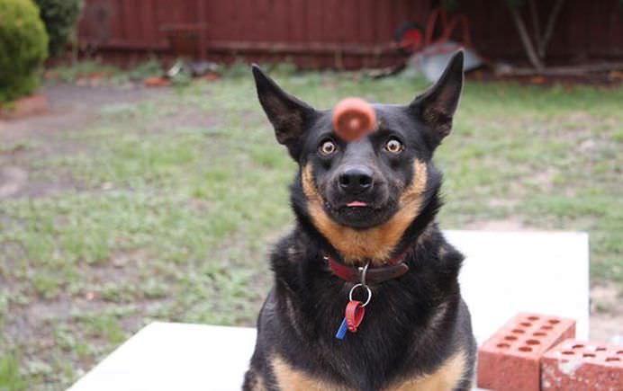IMAGINI PERFECTE surprinse in SECUNDA DE AUR!10