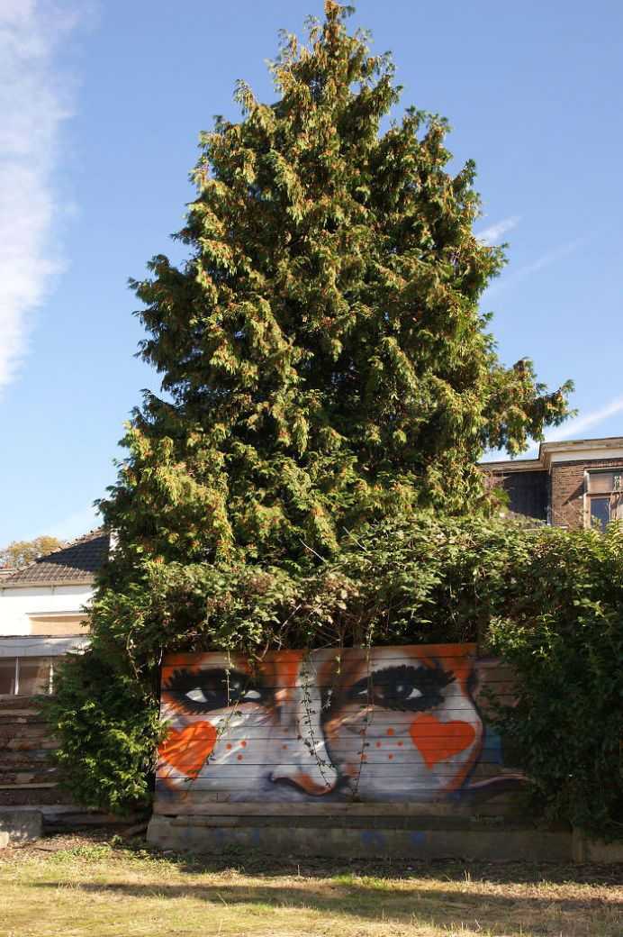 IMAGINI REALISTE cu desene graffiti care interactioneaza direct cu NATURA!22