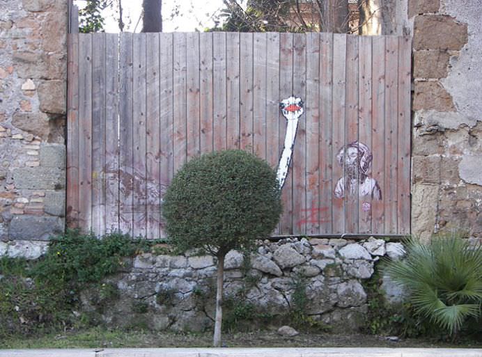 IMAGINI REALISTE cu desene graffiti care interactioneaza direct cu NATURA!7