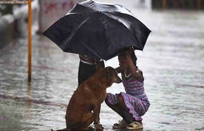 IMAGINI cu un puternic IMPACT EMOTIONAL ce redau UMANITATEA PURA pierduta in ziua de azi!12