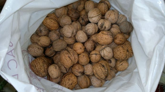 TOP 12 alimente care iti mentin senzatia de satietate!4