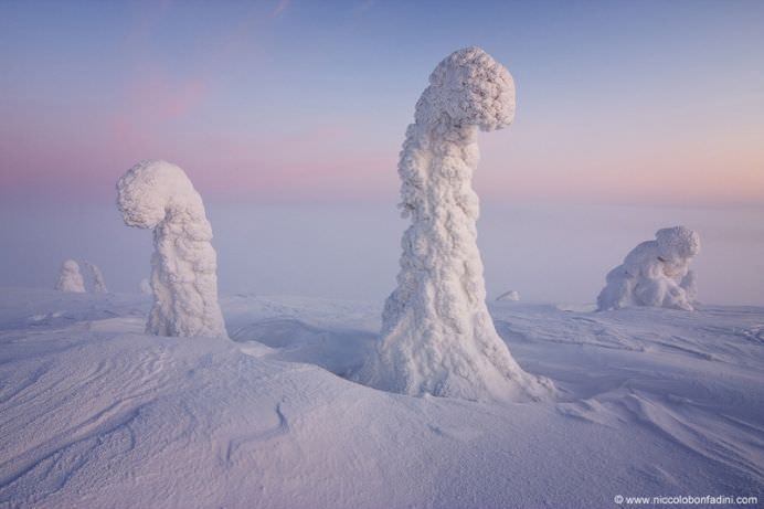 TOP 50 IMAGINI care au facut SENZATIE in prima jumatate a anului 2014!11