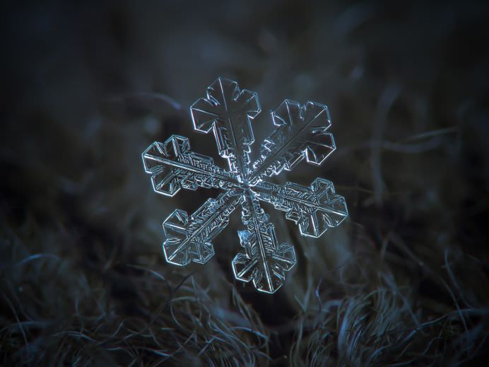 TOP 50 IMAGINI care au facut SENZATIE in prima jumatate a anului 2014!13