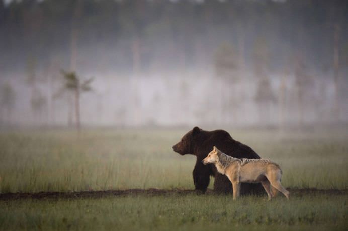 TOP 50 IMAGINI care au facut SENZATIE in prima jumatate a anului 2014!27