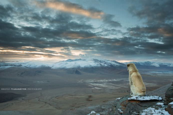 TOP 50 IMAGINI care au facut SENZATIE in prima jumatate a anului 2014!28