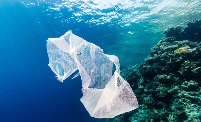 pungi de plastic