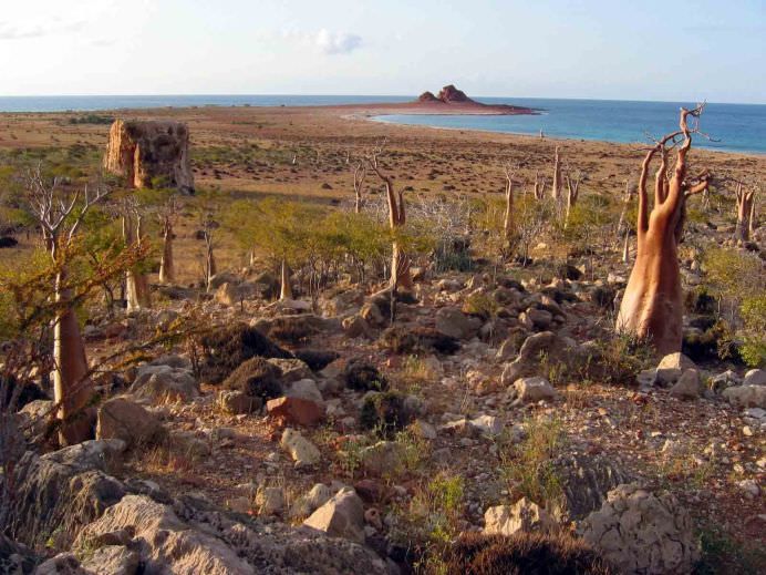 PEISAJUL EXTRATERESTRU de pe unul dintre cele mai izolate locuri din lume INSULA SOCOTRA!6