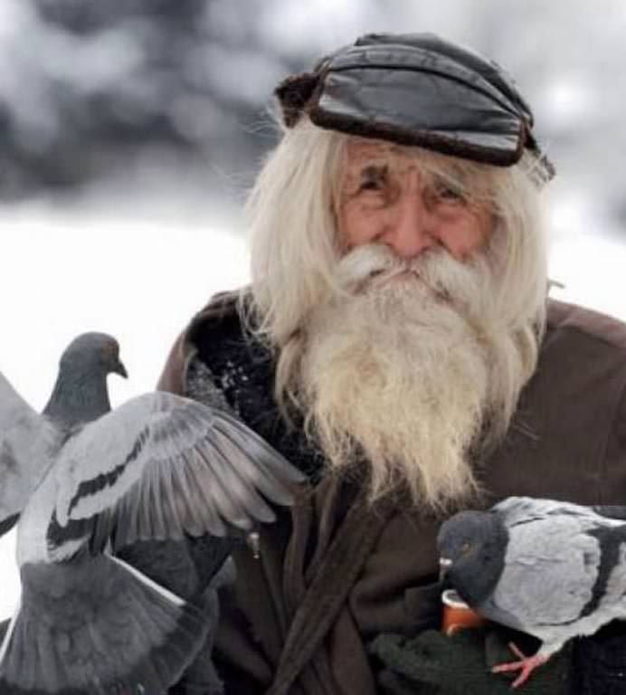 dobri dobrev1