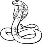 sarpe