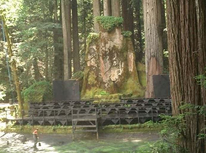 Bohemian Grove Secretele murdare de la Casa Alba... satanism, pedofilie si homosexualitate! VIDEO1