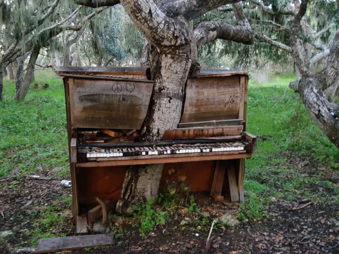 Cum poate INVINGE NATURA creatia de metal si ciment a OAMENILOR! Vezi IMAGINI SENZATIONALE!1