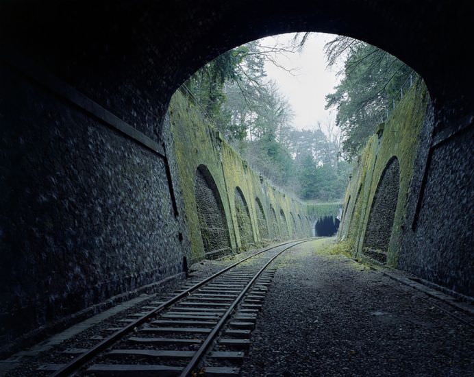 Cum poate INVINGE NATURA creatia de metal si ciment a OAMENILOR! Vezi IMAGINI SENZATIONALE!10