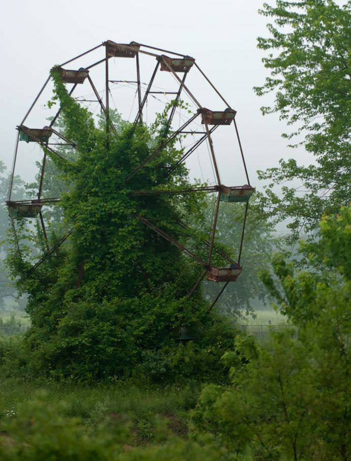 Cum poate INVINGE NATURA creatia de metal si ciment a OAMENILOR! Vezi IMAGINI SENZATIONALE!7
