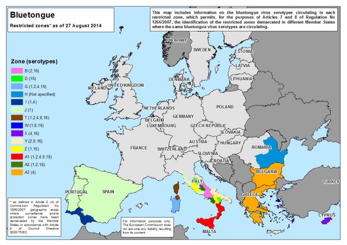 Tot ce trebuie sa stii despre BOALA LIMBII ALBASTRE! Harta zonelor restrictionate din ROMANIA si EUROPA!