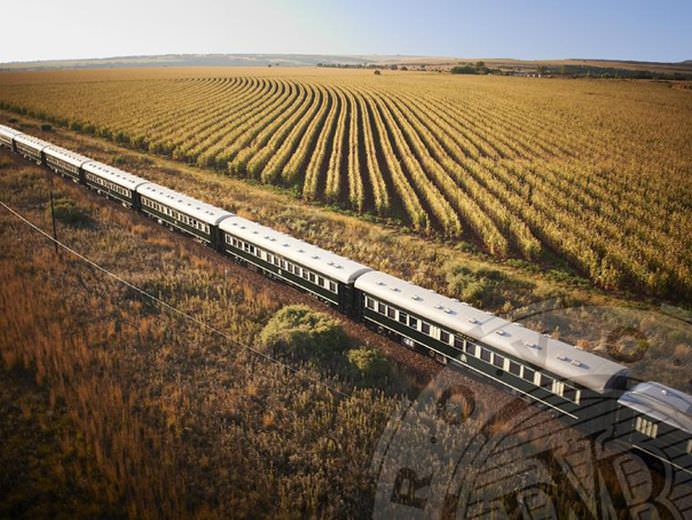 Cel mai LUXOS tren din lume! Nici n-o sa crezi cat costa o calatorie si din ce gara pleaca trenul! FOTO + VIDEO1