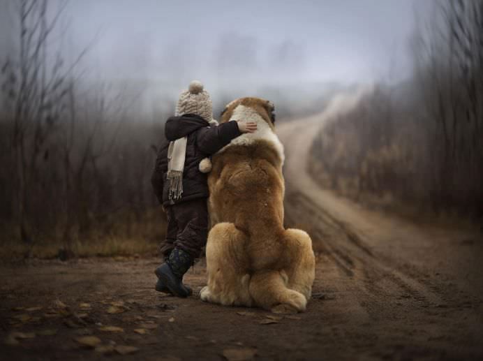 IMAGINI EMOTIONANTE cu CAINI cu suflet mare care au grija de COPII mici!2