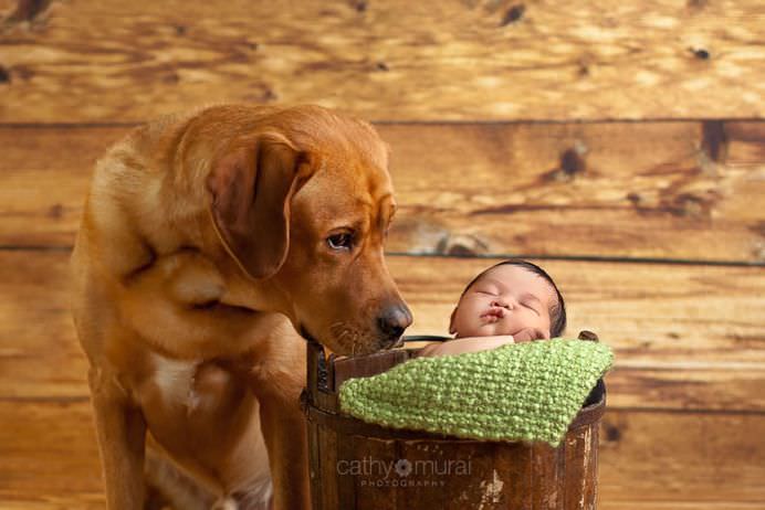 IMAGINI EMOTIONANTE cu CAINI cu suflet mare care au grija de COPII mici!21