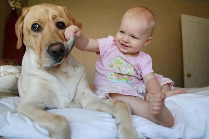 IMAGINI EMOTIONANTE cu CAINI cu suflet mare care au grija de COPII mici!8