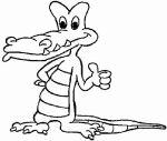 aligator