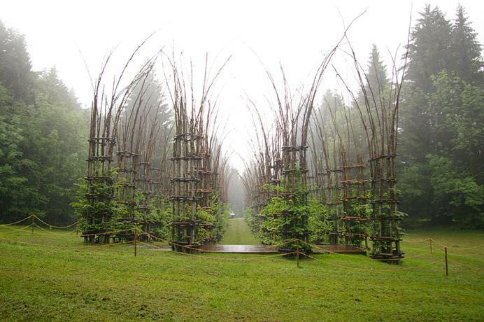 IMAGINI MONUMENTALE cu un adevarat TEMPLU in crestere! Cum arata CATEDRALA VERDE de la poalele Muntelui Arera!10