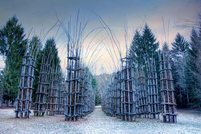 IMAGINI MONUMENTALE cu un adevarat TEMPLU in crestere! Cum arata CATEDRALA VERDE de la poalele Muntelui Arera!12