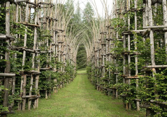 IMAGINI MONUMENTALE cu un adevarat TEMPLU in crestere! Cum arata CATEDRALA VERDE de la poalele Muntelui Arera!13