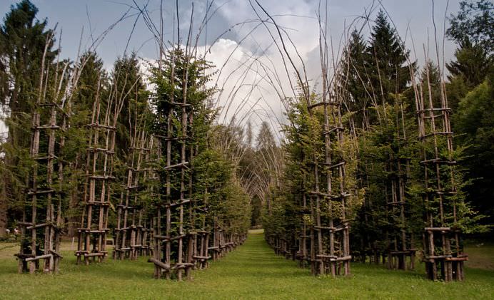 IMAGINI MONUMENTALE cu un adevarat TEMPLU in crestere! Cum arata CATEDRALA VERDE de la poalele Muntelui Arera!5