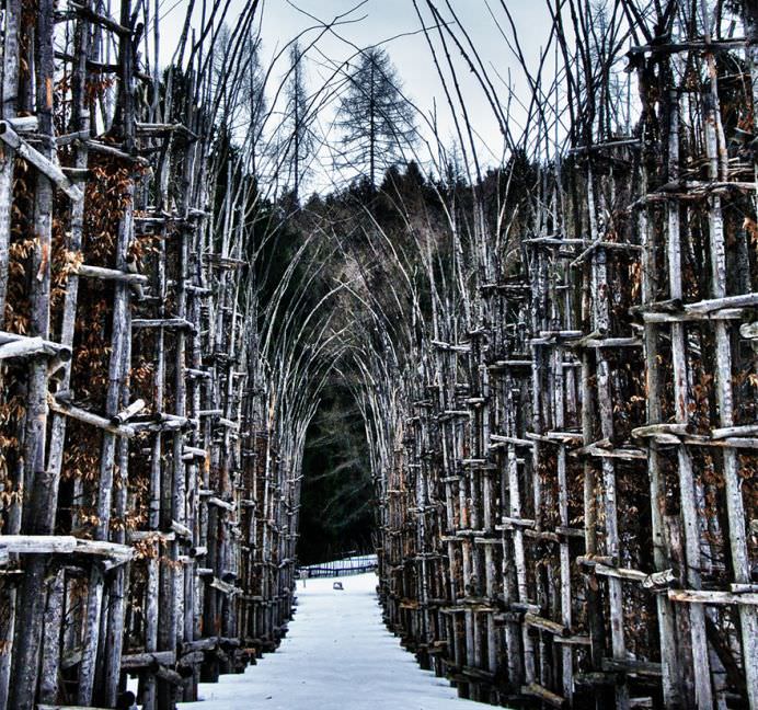 IMAGINI MONUMENTALE cu un adevarat TEMPLU in crestere! Cum arata CATEDRALA VERDE de la poalele Muntelui Arera!8