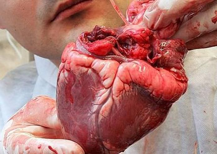 Cele 30 curiozitati despre corpul tau despre care nu ti-a spus nimeni pana acum!17