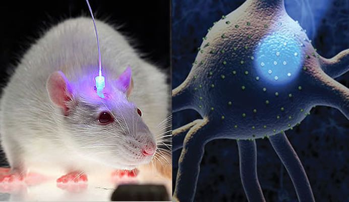 optogenetica